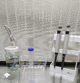 Set-up for spore syringe serial dilution
