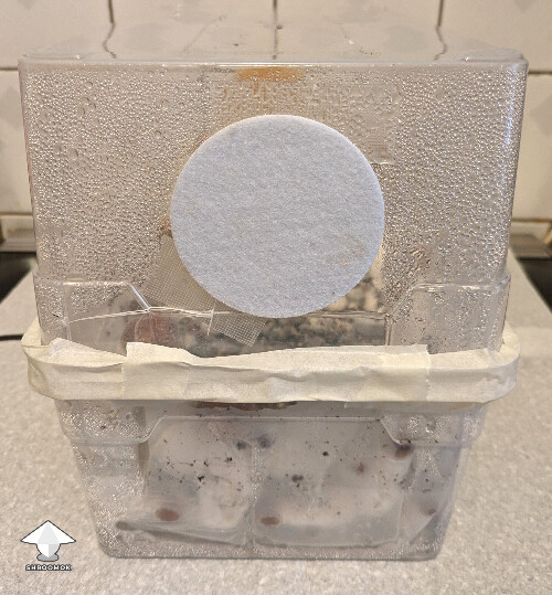 DubTub with air filter