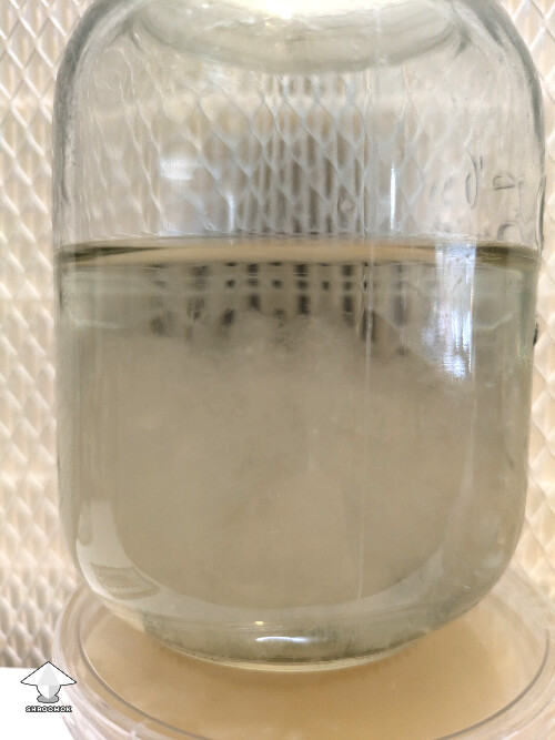 Good looking liquid culture for reference