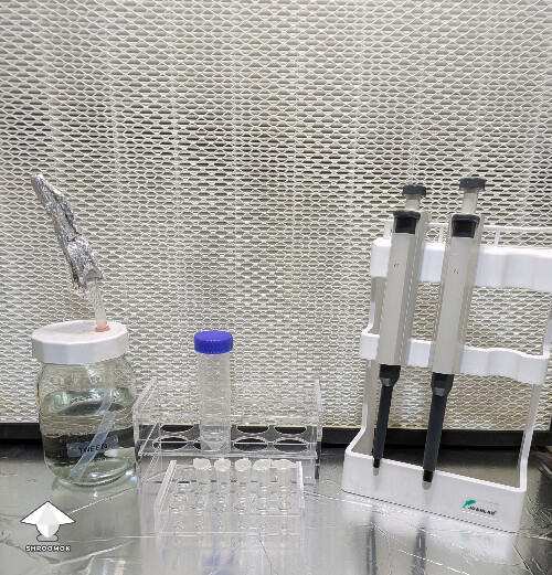 Set-up for spore syringe serial dilution