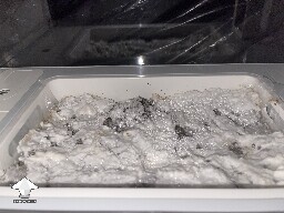 Probably failed grow? 691ce7089ddd3