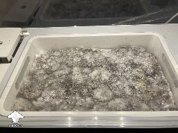 Probably failed grow? 691ce70a51266