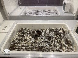 Probably failed grow? 691ce70dc0101