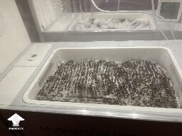 Probably failed grow? 691ce70fad4c5