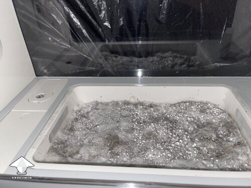 Thumbnail: Probably failed grow? 691ce70684048