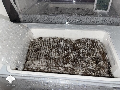 Thumbnail: Probably failed grow? 691ce7116b792