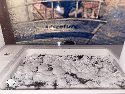 Probably failed grow? 691d6034cdc7f