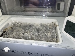 Probably failed grow? 691d855cb5757