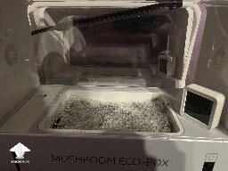 Probably failed grow? 691d85fe826fc