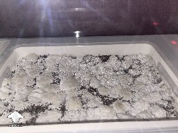 Probably failed grow? 691e2e1891761