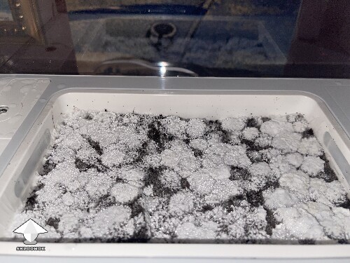 Thumbnail: Probably failed grow? 691d6036e08e7