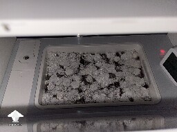 Probably failed grow? 6920cda29beb3