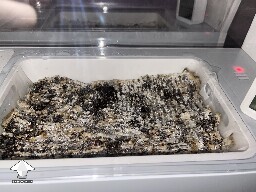 Probably failed grow? 6920cda486d26