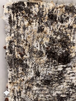 Probably failed grow? 6920cda669a1d