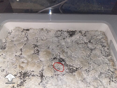 Probably failed grow? 6925256833d84