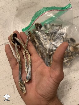 Dry E4K mushrooms