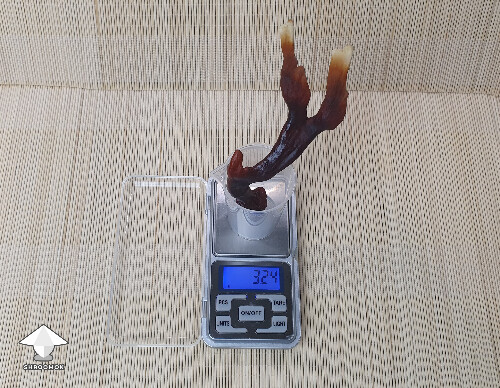 Antler reishi fruit for one cup of tea