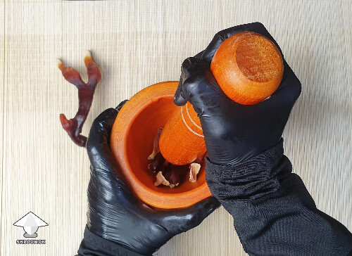 Grind the dried reishi in a mortar with a pestle