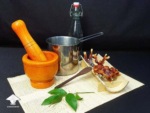Main ingredients for making reishi tea - just mushrooms and water