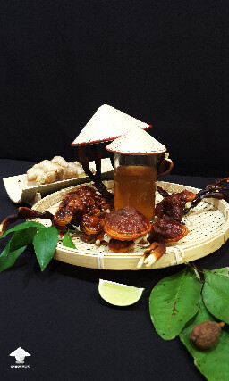 Ganoderma aka Reishi mushrooms for your health