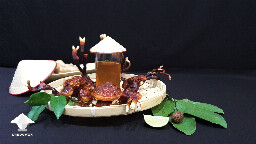 Medicinal ganoderma mushroom and reishi tea