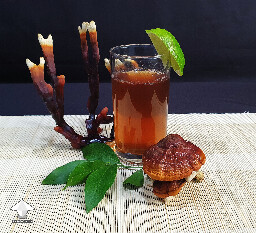 Medicinal tea made of reishi mushrooms