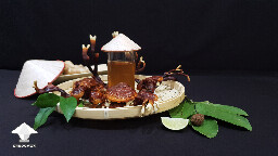 Reishi mushroom benefits