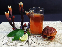 Reishi mushroom tea to support your health