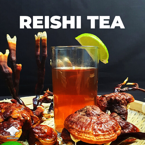 Reishi for healthy body and good sleep