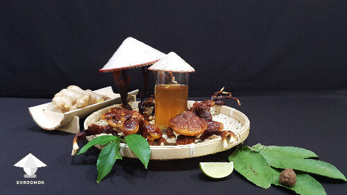 Reishi to support immunity and good sleep