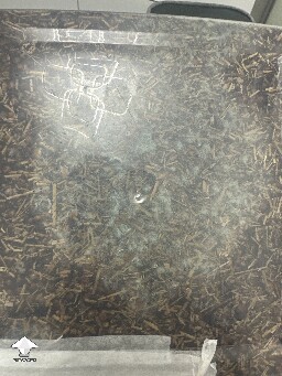 Grow bag 2.0 mycelium taking a while to form 69405e4f97ba8