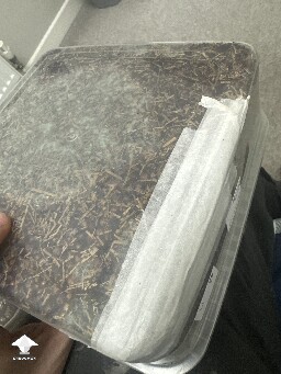 Grow bag 2.0 mycelium taking a while to form 69405e5732fd2