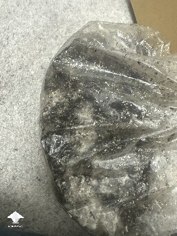 Grow bag 2.0 mycelium taking a while to form 69406e0d0d35e