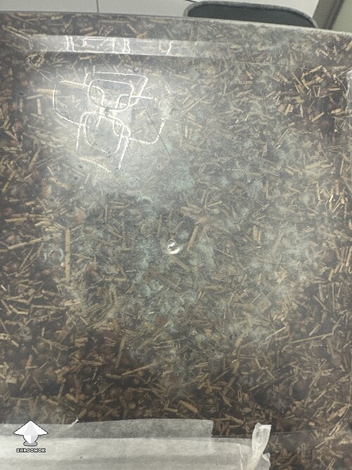 Grow bag 2.0 mycelium taking a while to form 69405e4f97ba8