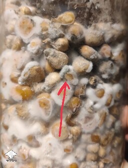 More contamination than anything else 694da786eba4f