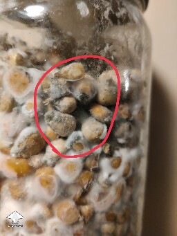 More contamination than anything else 694da7884ff0b