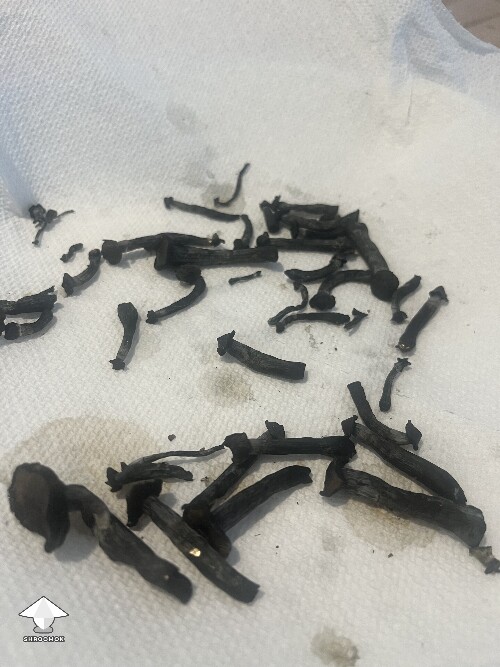 Thumbnail: Turning black when dehydrating 6951749f18193