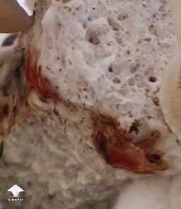 A spot of orange and a spot of black 6953561977071