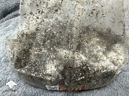 Grow bag 2.0 mycelium taking a while to form 6957aee768b3f