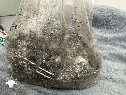 Grow bag 2.0 mycelium taking a while to form 6957aeea0bcde
