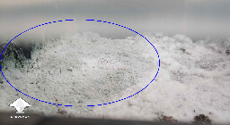 Bright white growth that turning green - early mold contamination