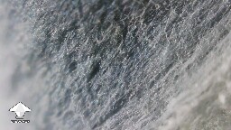 Is this mycelial bruising or mold - in some of the air gaps in the grain I noticed some fluff slightly blue #3