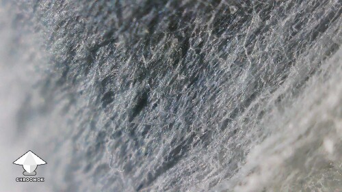 Is this mycelial bruising or mold - in some of the air gaps in the grain I noticed some fluff slightly blue #3