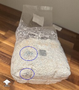 Mycelium bruising in grain spawn bag