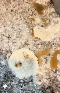 Symptoms of the wet bubble disease — clusters of mycelium with coral-like indentations and a cloudy brown liquid