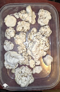 Mutation of Melmac that I was trying to grow #4