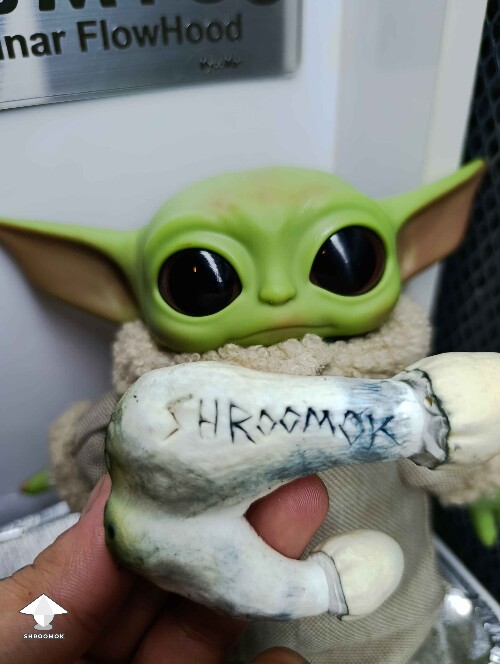 APE mushroom for Shroomok