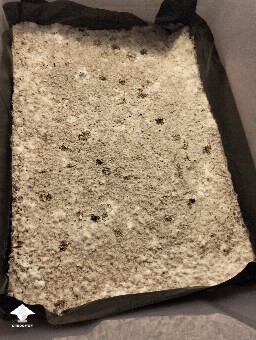 Not growing anymore 698f1f3904fce