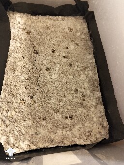 P.cube not growing 698f263801e8a