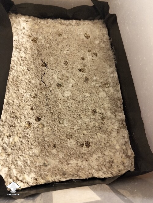 P.cube not growing 698f263801e8a